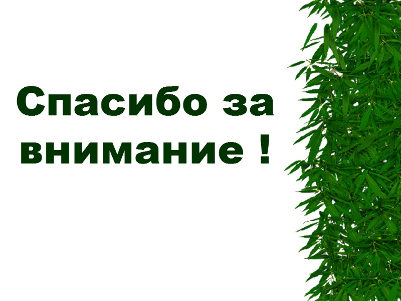 Спасибо за внимание !